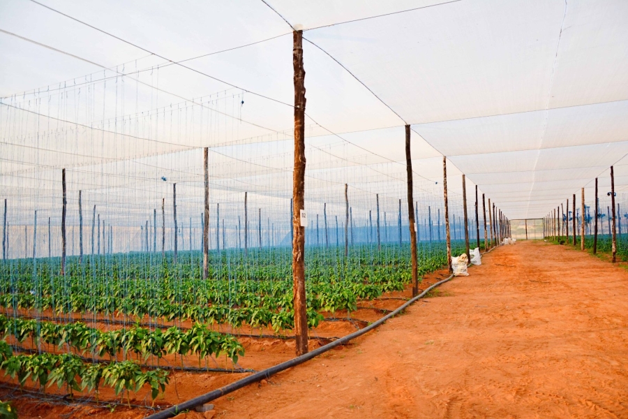 Commercial Property for Sale in Klerksdorp Rural North West